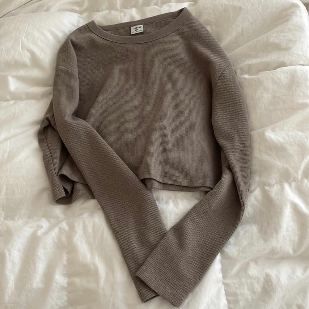 Aritzia Long Sleeve Top in Taupe